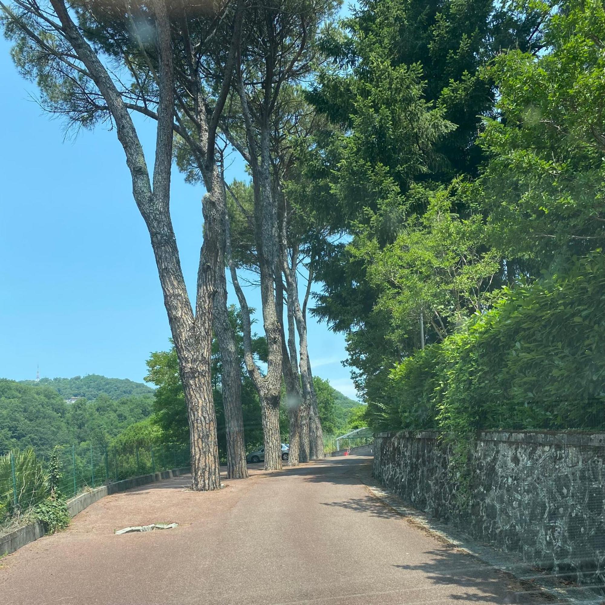 Le Foglie Di Lubo Apartamento Aulla Exterior foto